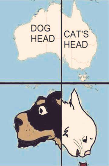 dogs_head_cats_head
